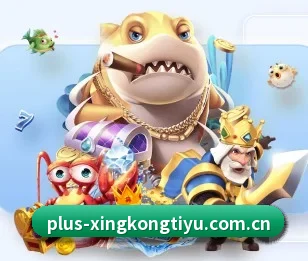 星空体育app围绕看球场景设计的核心服务